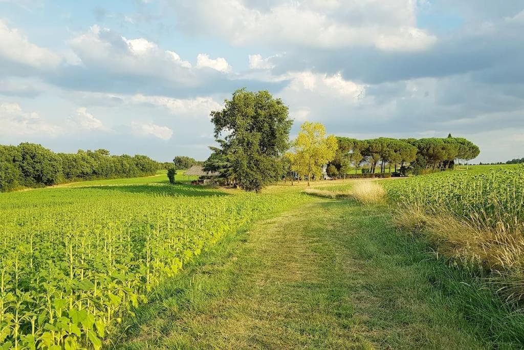 Gite De Campagne L'Estressol Cuq  Εξωτερικό φωτογραφία